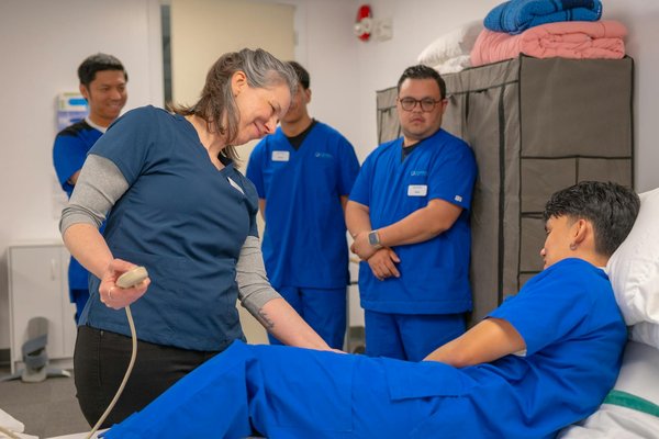 Top 10 sites de cbd pour des achats de qualité et sûrs